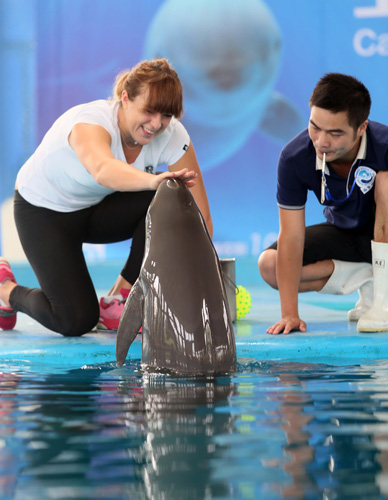 一种协作 一种协作